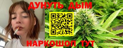 mdpv Краснознаменск