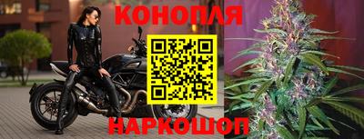 mdpv Краснознаменск