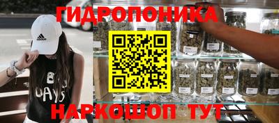молекула духа Кулебаки