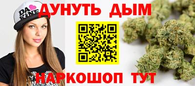 mdpv Краснознаменск