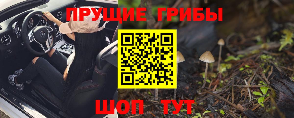 Галлюциногенные грибы MAGIC MUSHROOMS Великие Луки